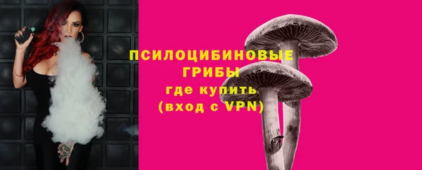 круглые Алексеевка