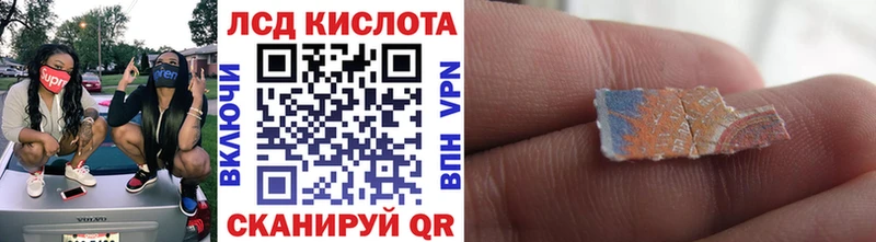 дарнет шоп  Курчалой  Марки 25I-NBOMe 1,8мг 
