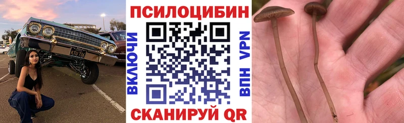 это состав  гидра зеркало  Галлюциногенные грибы MAGIC MUSHROOMS  Курчалой  где продают  