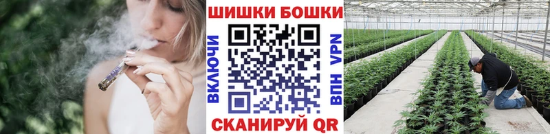 сколько стоит  Курчалой  Марихуана SATIVA & INDICA 